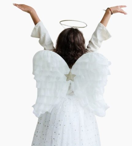 angel wings in Pakistan