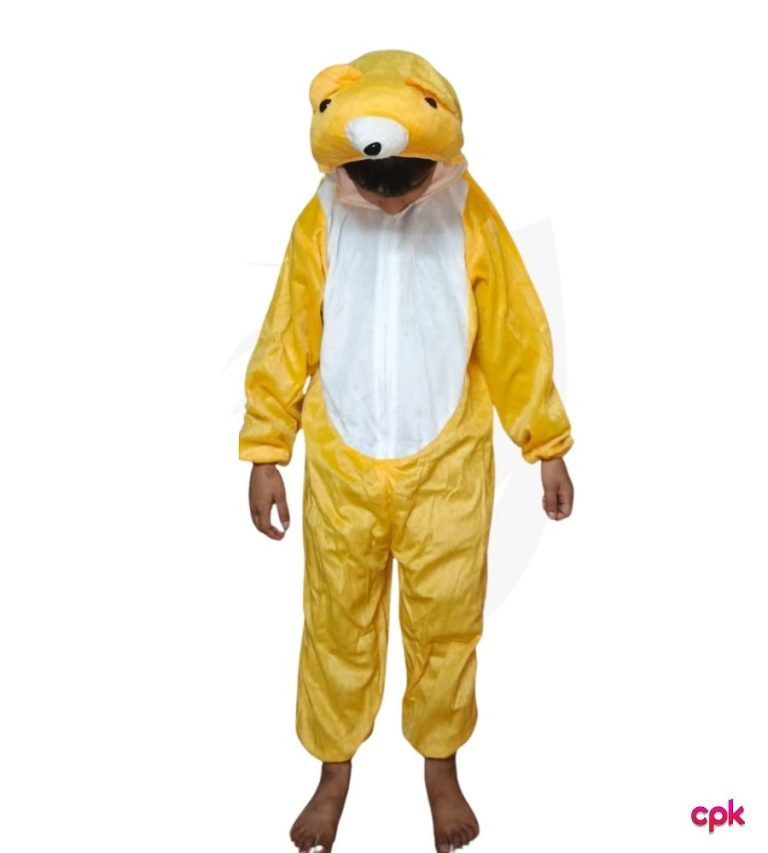 Cute brown bear costume for kids for school plays by costumes.pk
