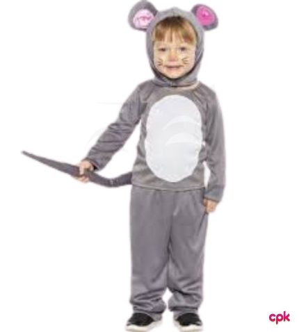 Cute grey mouse costume for kids for school plays in Pakistan
