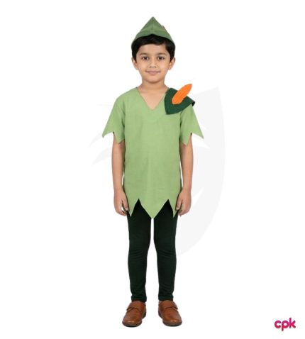 Classic green Peter Pan Costume Kids outfit from costumes.pk
